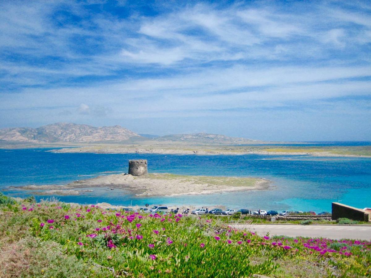 Appartamento Aria 150M Dal Mare كاستيلساردو المظهر الخارجي الصورة